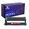 DR223CL magenta