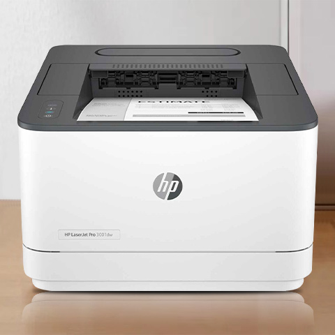 HP 3001dw