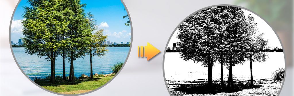 Monochrome vs Grayscale Printing: What’s the Difference?