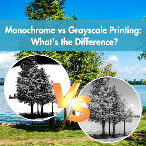 Monochrome vs Grayscale Printing: What’s the Difference?