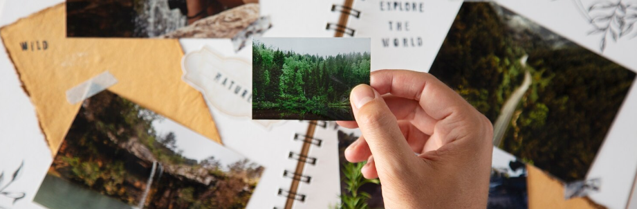 Glossy vs Matte Photo